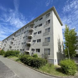 ５階建の４階部分、角住戸になります♪外観